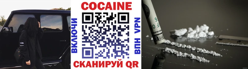 Cocaine Fish Scale  купить закладку  Белово 