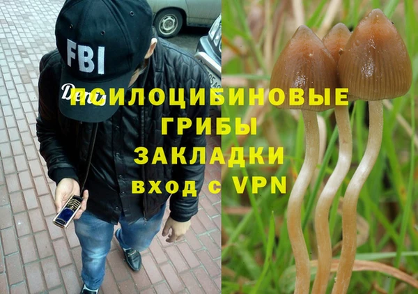скорость Арсеньев