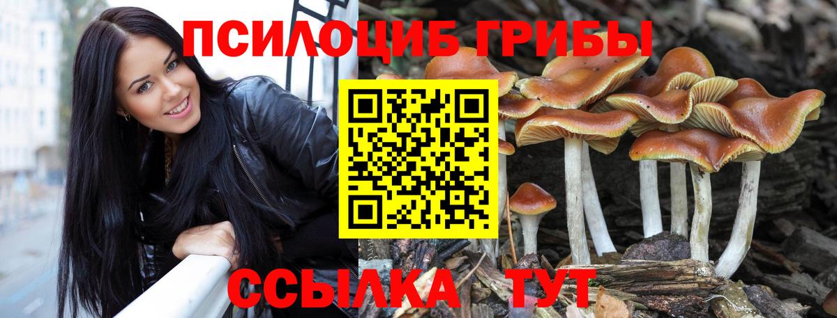 магазин    Псилоцибиновые грибы MAGIC MUSHROOMS  Вход с VPN  Белово 